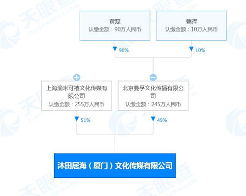 廣播電視節目制作經營 創意與管理的藝術